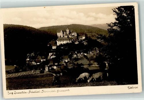 Lauenstein Burg Lauenstein Schafe