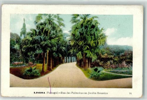 Lisboa 1913 Rua das Palmeiras no Jardim Botanico