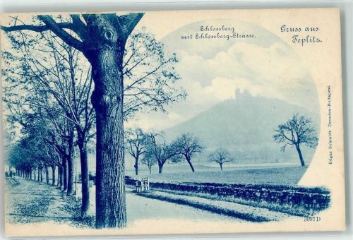 Teplice Teplitz-Schönau - Schlossberg mit Schlossberg Straße Bank Bäume Gruss
