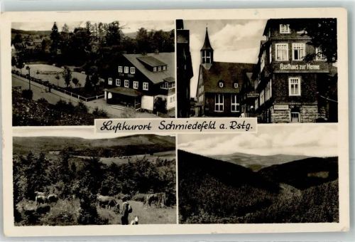 Schmiedefeld Gasthaus Zur Henne Film-Bühne Kühe
