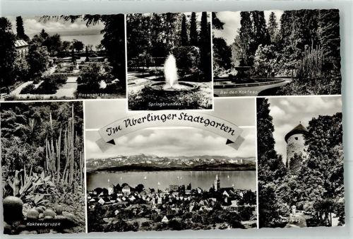 88662 W7770 Überlingen , Bodensee Foto AK Kakteengruppe im Stadtgarten Rosengarten Springbrunnen Fuchsienweg