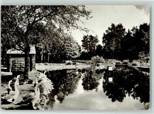 Weißwasser Tierpark Gänse Entenhaus