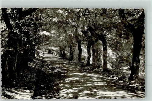Schlangenbad Nassauer Allee