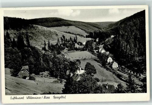 Wildemann Spiegeltal
