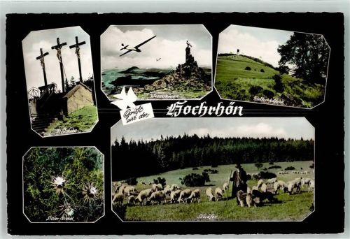 Fladungen Gruß aus der Hochrhön Silber Distel Schäfer Hund Wasserkuppe Flugzeug Rotherkuppe Kreuzgang Ort lt. Stempel