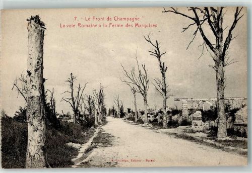 Val-de-Vesle la voie Romaine a la Ferme des Marquieses