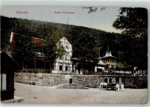 Oker Hotel Waldhaus