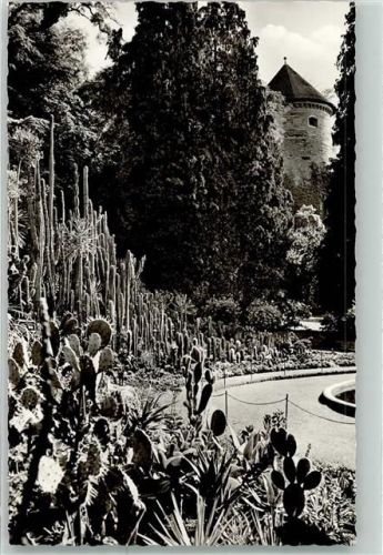 Überlingen Stadtgarten mit Kakteengruppe