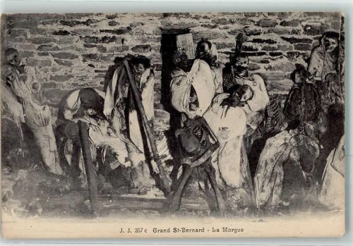 Mumien Grand Saint Bernard