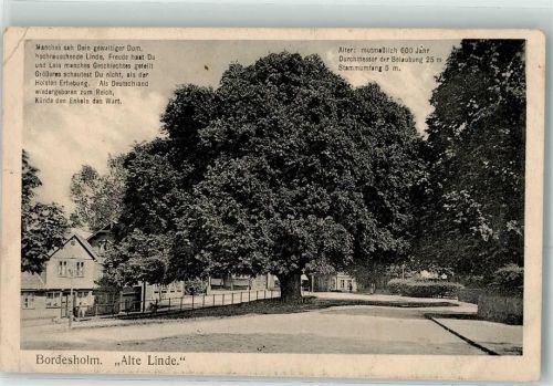 Bordesholm 1917 Alte Linde