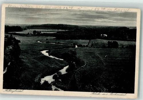 Fallingbostel 1931 Heidelandschaft