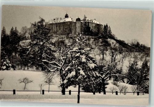 Blankenburg Winter Herzogliches Schloss