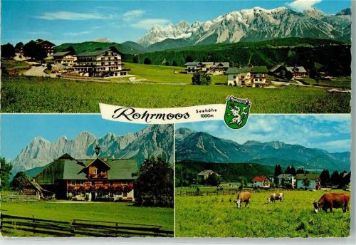 8971 Rohrmoos - Blick gegen das Dachsteinmassiv Kühe nur Scan beschnitten