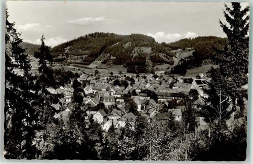 Steinwiesen