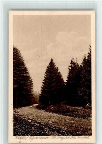 Elgershausen Waldhof Waldweg b. d. Heilanstalt