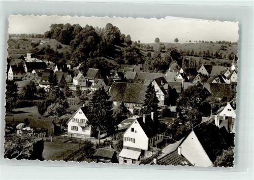 Pfäffingen Vogelschau