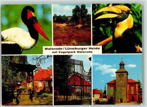Walsrode Vogelpark Walsrode
