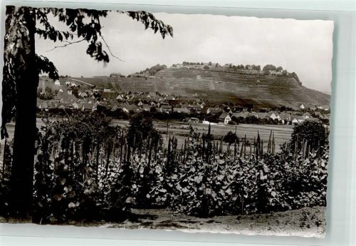 Asperg Foto Metz Wein
