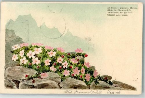 1899 sign. Schröter L. Gletscher Mannschild