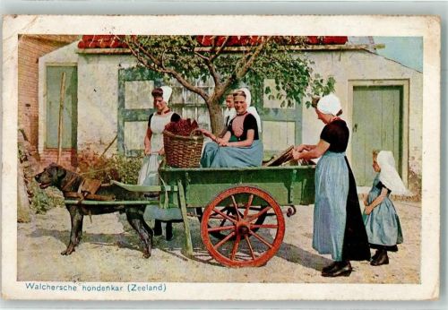 Middelburg 1925 Hundekarren Tracht Zeeland