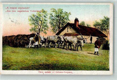 Ochsengespann