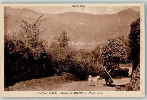 28010 Ameno - Monte RosaTracht Hund