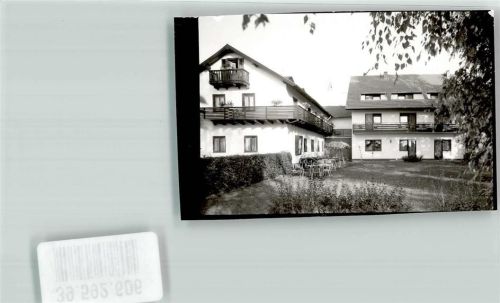 Laubach Pension Waldhaus Foto Original aus Archiv eines Ansichtskartenverlags Ort handschriftlich