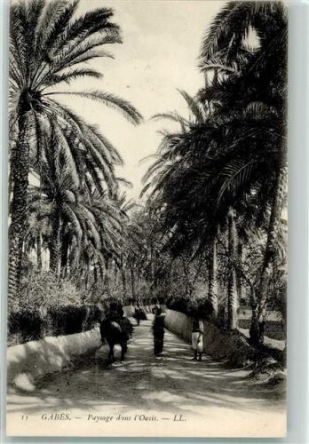 Gabès Oase