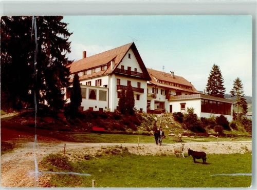 Rieneck Ort handschriftlich Foto Original aus Archiv eines Ansichtskartenverlags