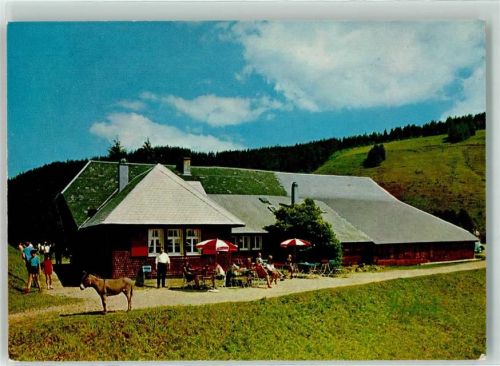 Untermünstertal 1969 Esel Gasthaus Kälbelescheuer