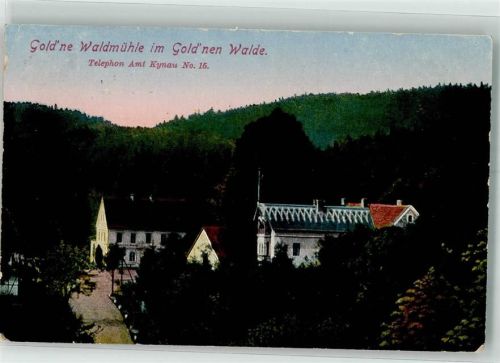 Kynau 1924 Gasthaus Gold´ne Waldmühle
