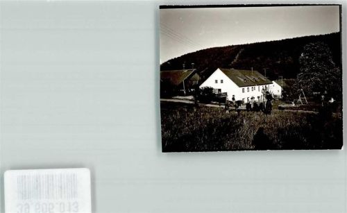 Oberdorf Pferde Wiese Ausreiten Foto Original aus Archiv eines Ansichtskartenverlags