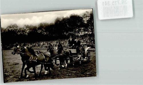 Dülmen Wildpferde im Vierergespann Kutsche Pferde Ort handschriftlich Foto Original aus Archiv eines Ansichtskartenverlags
