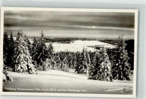 Feldberg Feldberger Hof Winter
