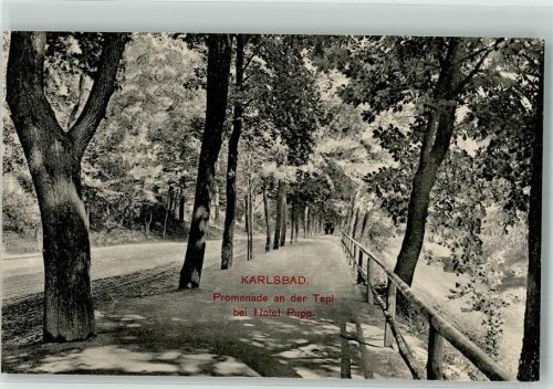 Karlovy Vary Promenade an der Tepl