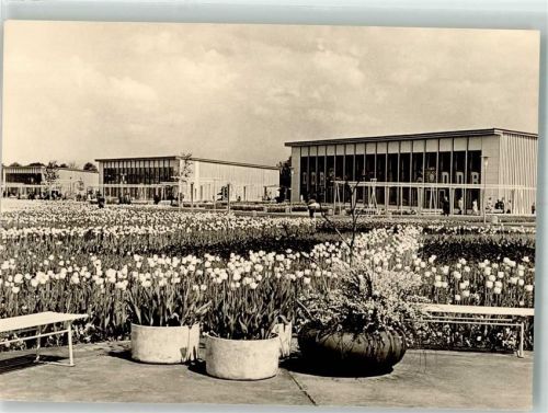 Erfurt Tulpenfelder und Ausstellungshallen während der IGA Verlag Konsum Foku