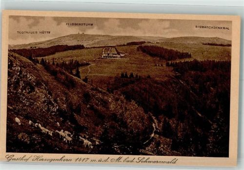 Bernau Gasthaus Herzogenhorn Feldbergturm