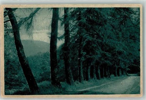 Iserlohn Stimmungsbilder aus dem Sauerland Nr. 2 Reihe I. Ort lt. Verlag