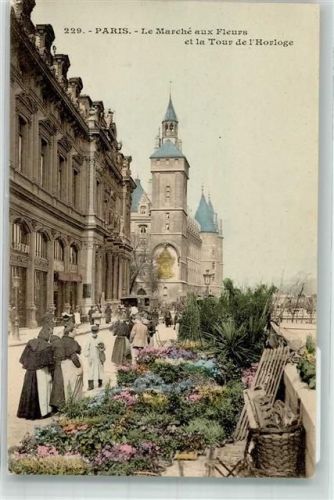 Paris Marktszene Blumen