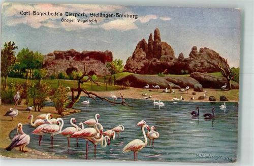 Stellingen sign. Höpflinger M. Flamingo Pelikan Schwarzer Schwan Storch