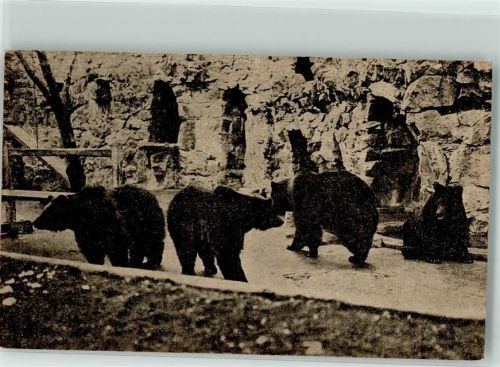 1929 Gehege im Zoo Tschechien