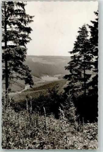 Freienohl Giesmecketal Foto Original aus Archiv eines Ansichtskartenverlags Ort handschriftlich