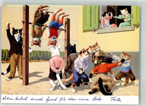 Katzen Schule Pause