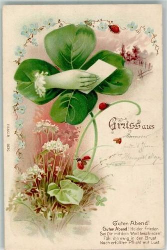 1900 Gruss aus Spruch Marienkäfer Lithographie E.B.C.i.B. Nr.9230
