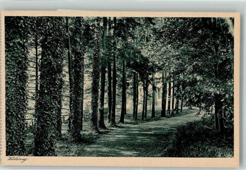 Osterhofen Waldweg Lehr Erziehungs Institut der Englischen Fräulein Damenstift Osterhofen ehemaliges Prämonstratenser Kloster