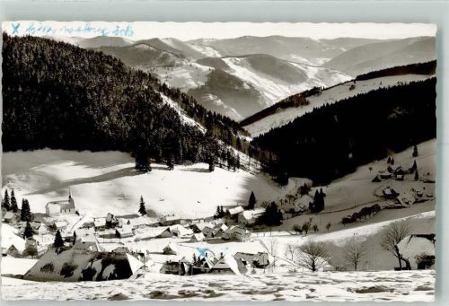 Muggenbrunn Winter