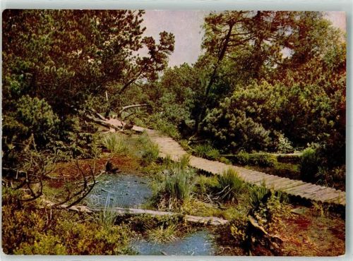 Altenberg Naturschutzgebiet Georgenfelder Hochmoor Verlag A.P. Walther