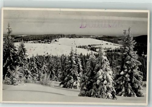 Feldberg Feldberger Hof Winter