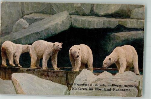 Stellingen Eisbären im Nordland Panorama Verlag Carl Hagenbeck