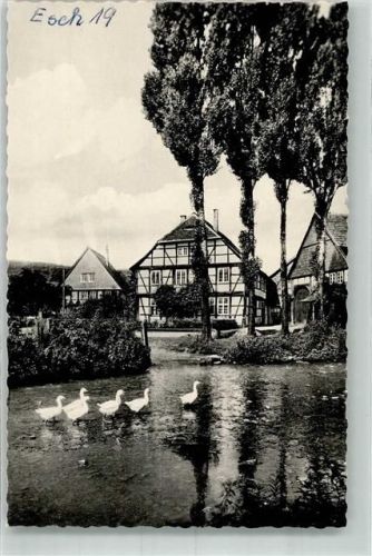 Eschershausen Partie an der Lenne